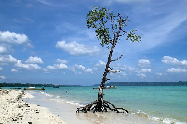 Andaman and Nicobar image